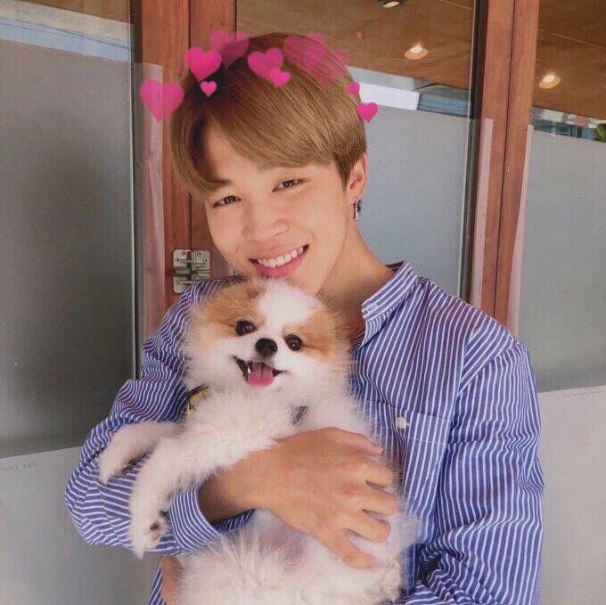 jimingirIs's tweet photo. blue for you
꒰ #ARMYSelcaDay ꒱ https://t.co/oph8jAPFi1