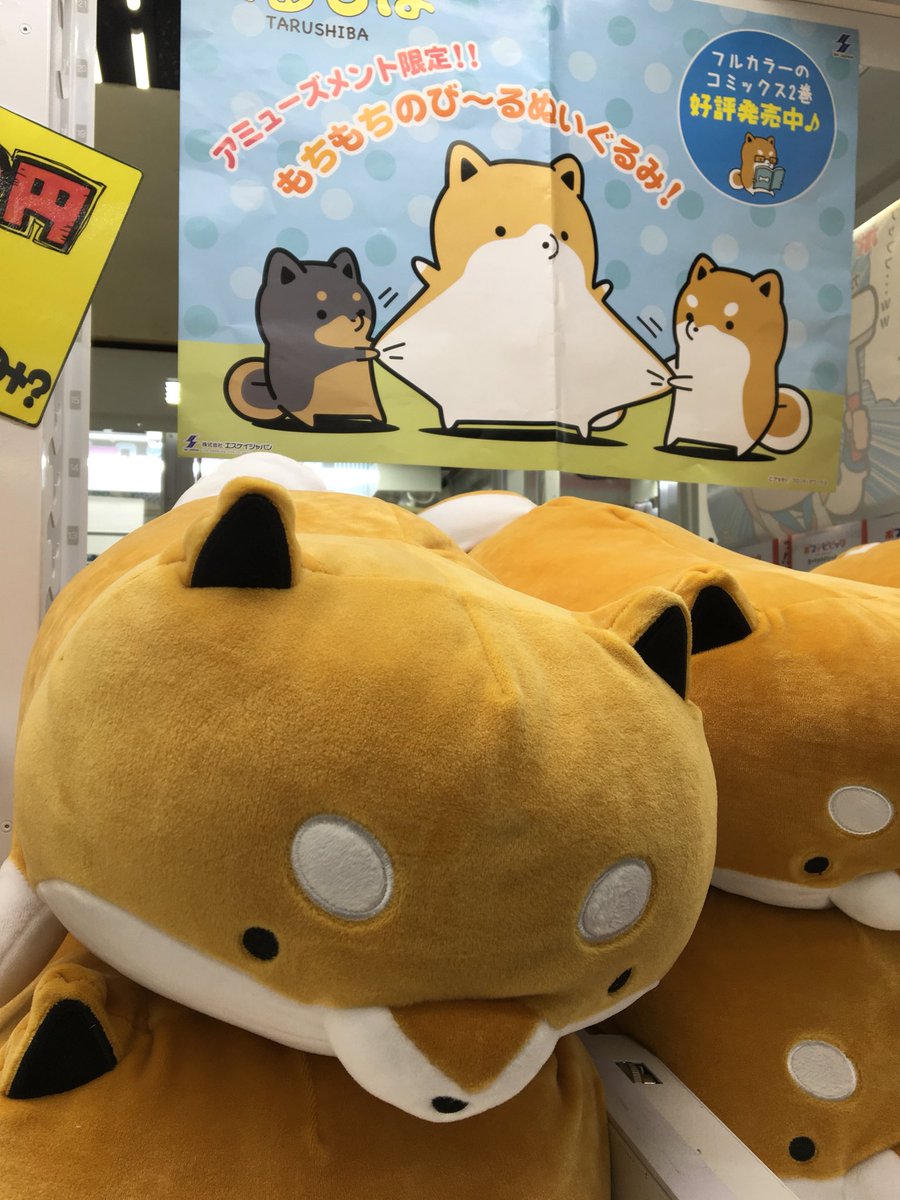 万代藤野ゲームセンター On Twitter かわいいたるしば 触り心地がモチモチフワフワでとても気持ちいいですよ ぜひ触ってみてゲットしちゃってください 万代 藤野 Ufoキャッチャー アミューズメント たるしば フワフワ モチモチ ぬいぐるみ Https T Co