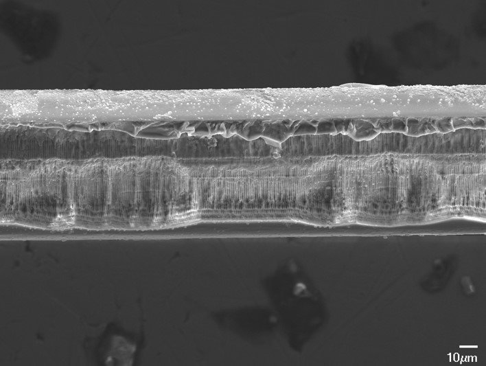 OpticaWorldwide's tweet photo. Today in #OSA_OL, new bioresorbable fiber Bragg gratings could pave the way for #optical sensors to be implanted in the body. https://t.co/izp7IBfAJu 
@FORTH_hellas
#biomedicine #brainimaging #bodymonitoring https://t.co/VozjqqPwkN