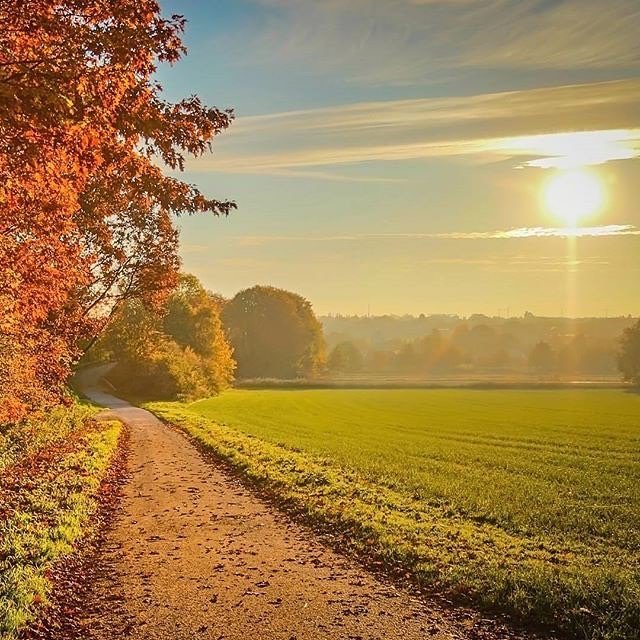 Primitive_Style's tweet image. Reposting @yuvanta:
Autumn is here🍁
📍Sweden
.
.
.
.
.
.
.
.
.
.
#landscape
#photoofthedays #season #scandinavia #colors #canonphotography