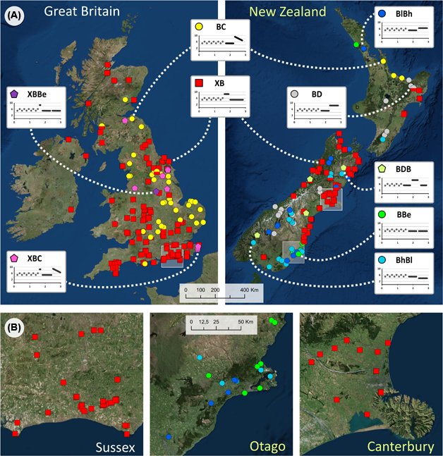 EcographyJourna's tweet photo. #EditorsChoice: Dialects of an invasive songbird are preserved in its invaded but not native source range #free #birds #NewZealand @newzealandbirds https://t.co/qnIz0Spg3f @pipek_pavel https://t.co/MAB5wf3qu1