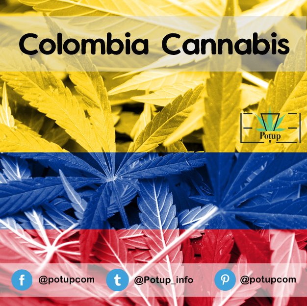 Potup_info's tweet photo. Medical marijuana from Colombia will see 2018 as a ‘bellweather year,’ writes Matt Lamers in MjBizDaily. https://t.co/kPagMVE2TI https://t.co/jHC8HWOBUi