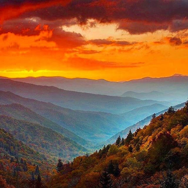 thebabeesh's tweet photo. Reposting @genesis_scottd:
Rolling mountains, a fiery sunrise, and amazing views overlooking the Great Smoky Mountains!  Hope your view is as good as this one. What will you do today?
#FireInTheSky https://t.co/n16adQY3sN