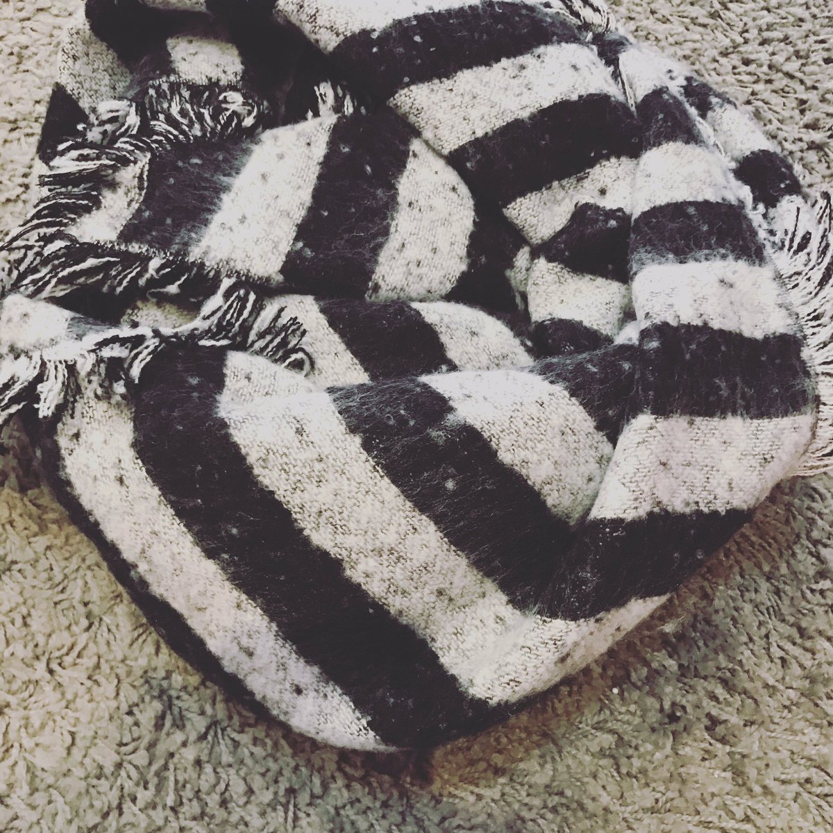 MiraKeMono's tweet photo. Aprovecha las segundas rebajas y llévate tu bufamanta de @fortimebags para llevar mejor estos días de frío ❄️❄️❄️❄️❄️❄️❄️❄️

#rebajas
#bufamanta 
#fortime
#modaycomplementos 
#mirakemono 

🙈🙈🙈🙈🙈🙈🙈🙈🙈 https://t.co/U85c0L6ybR