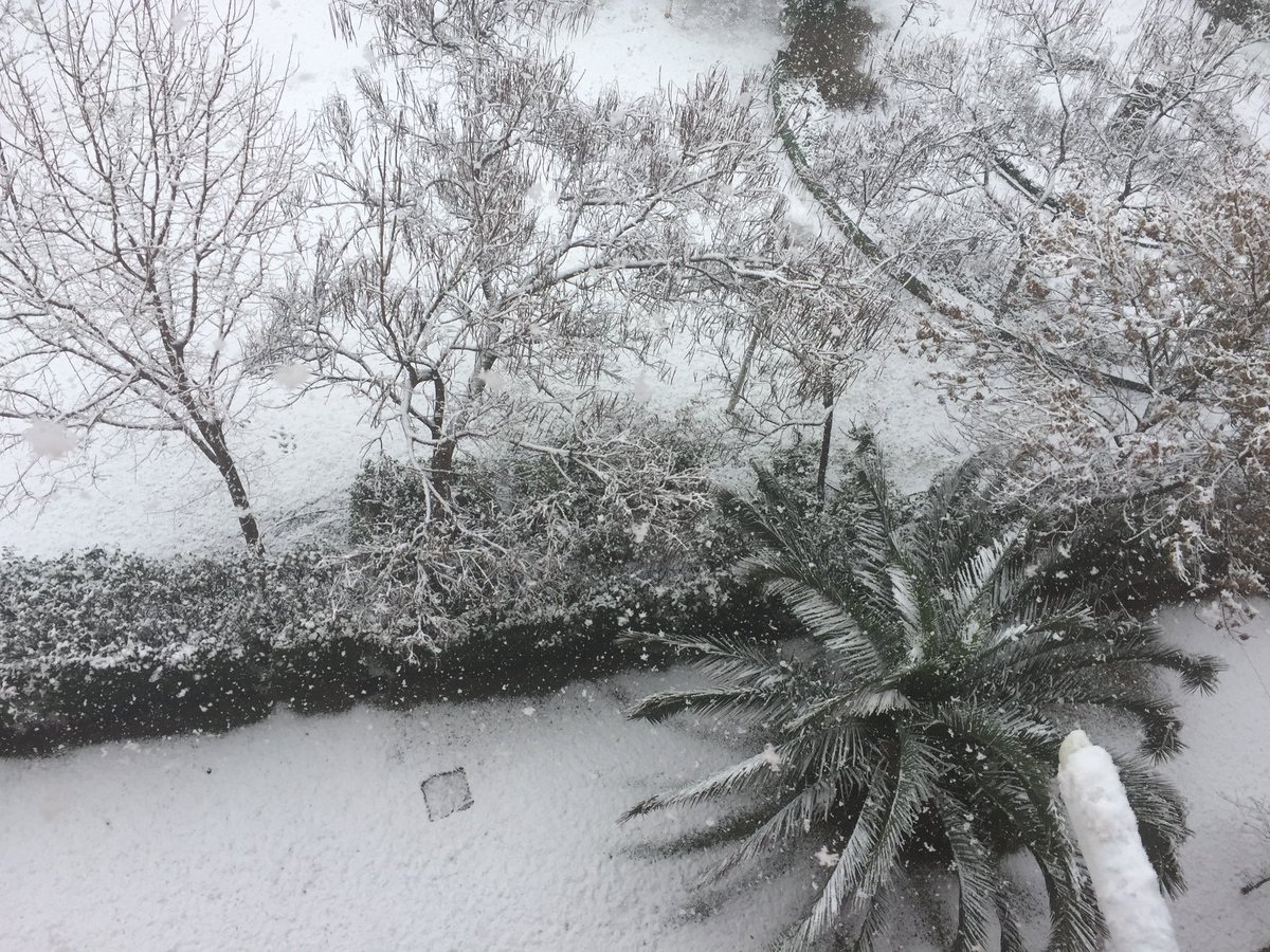 ajcervema's tweet photo. #nieve #cuaja #Alcobendas #Madrid @HimarGonzalez @tiempobrasero #quebonito https://t.co/8FQkt9ibYG