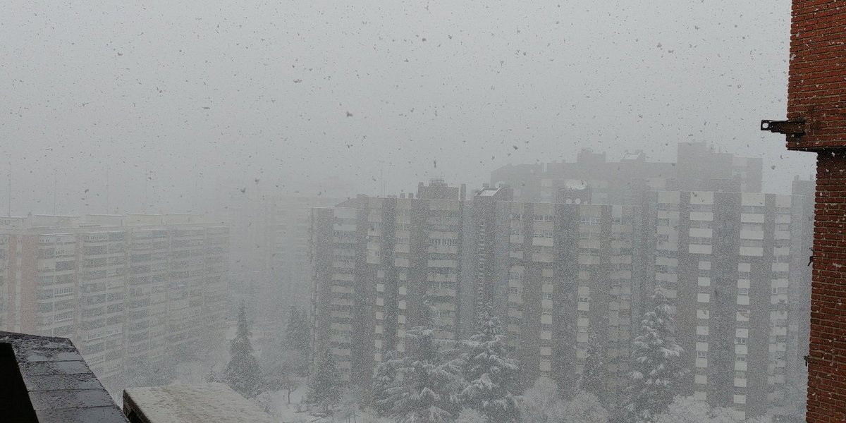 ॐ Fando Sarel ॐ tweet media