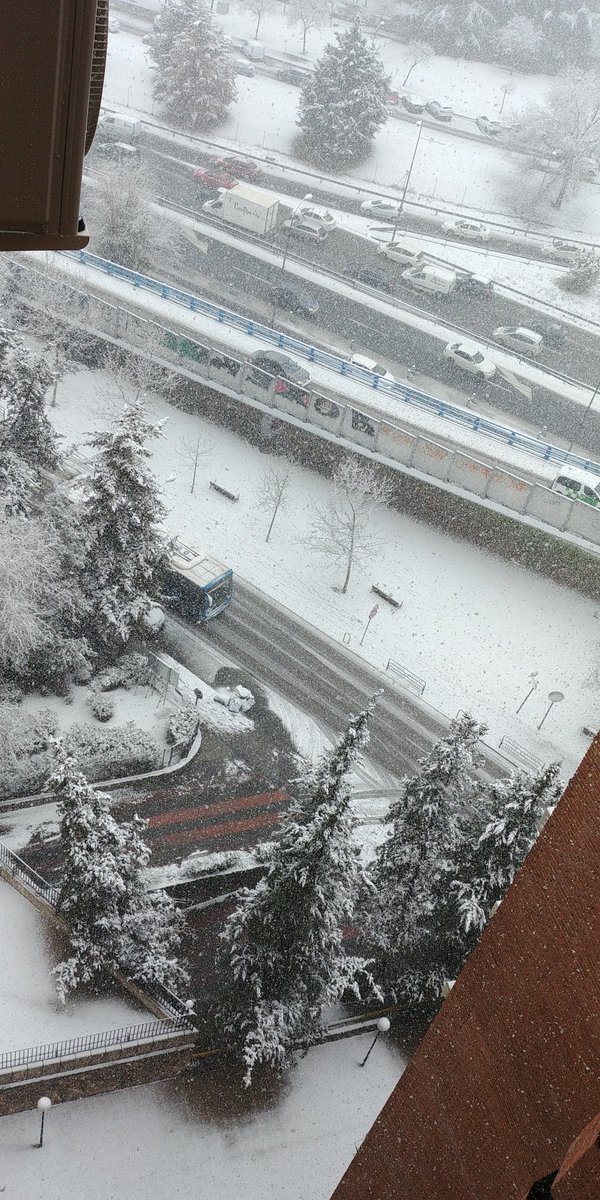 ॐ Fando Sarel ॐ tweet media