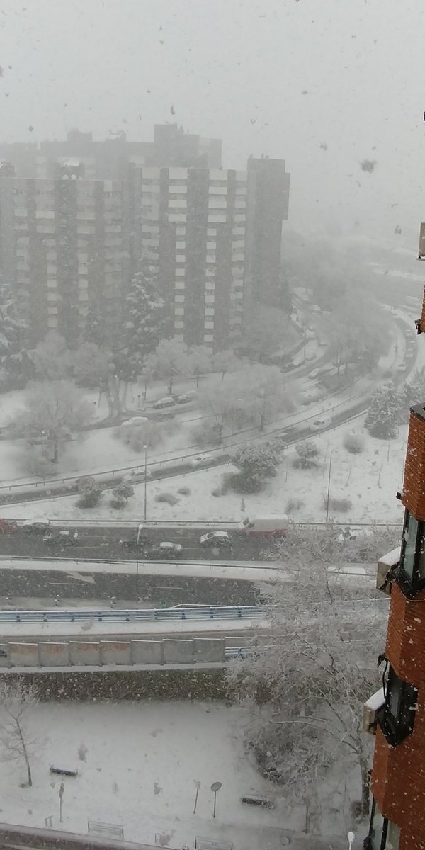 ॐ Fando Sarel ॐ tweet media