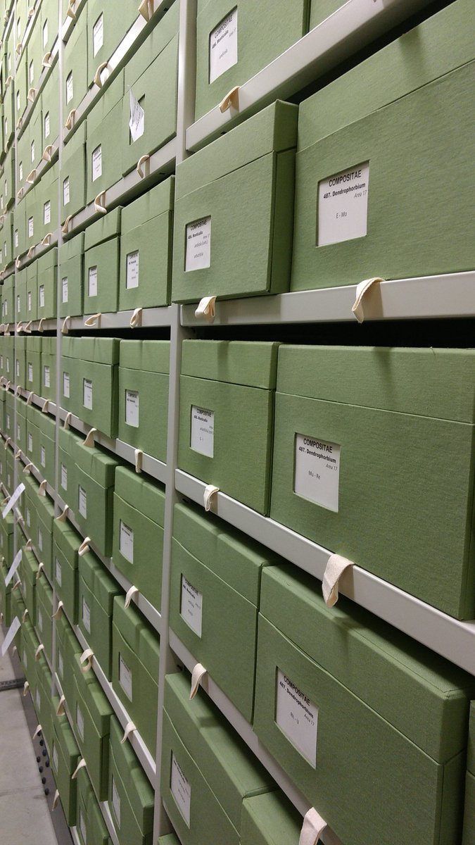 ForageWildFood's tweet photo. Great tour of the Kew herbarium today as part of the Kent-Kew MSc ethnobotany, thanks to @alexmonro https://t.co/bxLbUZS9E9