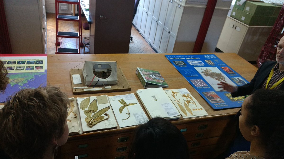 ForageWildFood's tweet photo. Great tour of the Kew herbarium today as part of the Kent-Kew MSc ethnobotany, thanks to @alexmonro https://t.co/bxLbUZS9E9