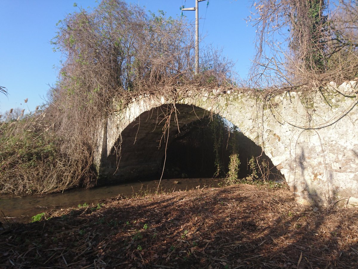 VisitSermoneta's tweet photo. Antico ponte sul fiume #Ninfa. # Visitsermoneta #SermonetaTurismo #Ninfa https://t.co/dSY40eLbtk