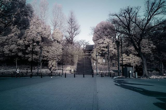 macoteauT's tweet photo. stair
#snap #street #japan #tokyo #infrared #nex5n #zeiss #macoteau #streetphoto #streetphotography #igersjp #wu_japan #instagood #urbanscape #thecreatorclass #inspirationcultmag #ig_japan #urbanphotography #shootermag_japan #photooftheday #team_jp_ #1x… https://t.co/O4K2vYHHIh https://t.co/uLI7d6Jkcf