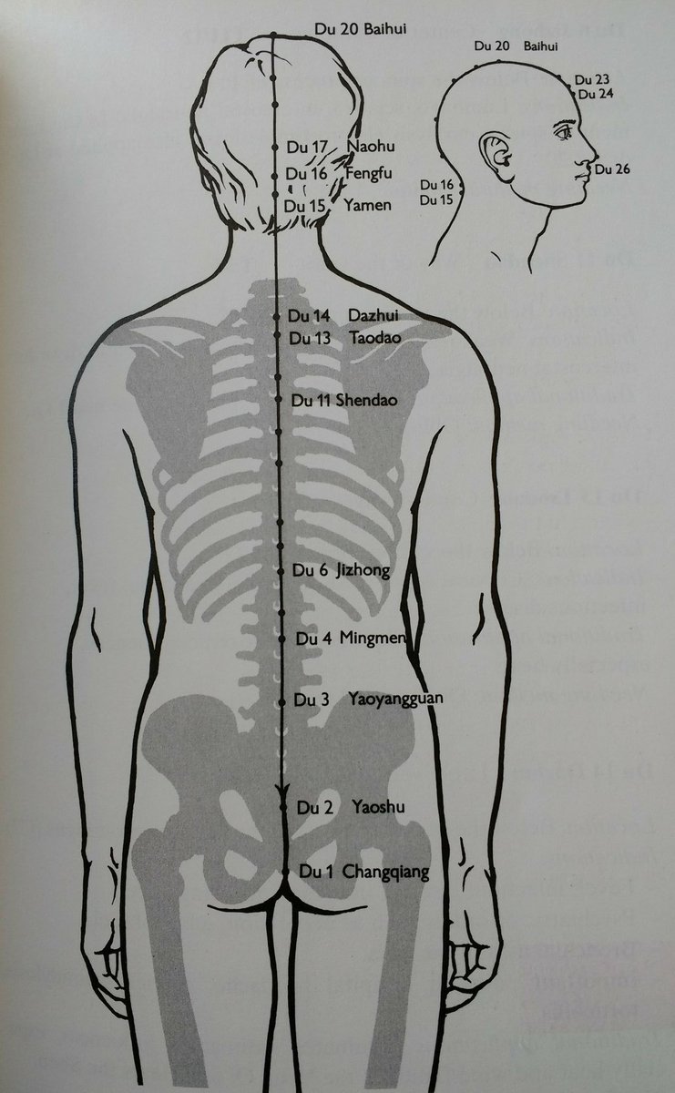 'Effecting the Affect' acupuncture course booked on for March <a href="/AACP_Physio/">AACP</a>. Mood &amp; emotion are interrelated with physical health, looking forward to learning how to focus my #acupuncture skills to hopefully improve this  balance for clients . My sharpest tool in the toolbox!