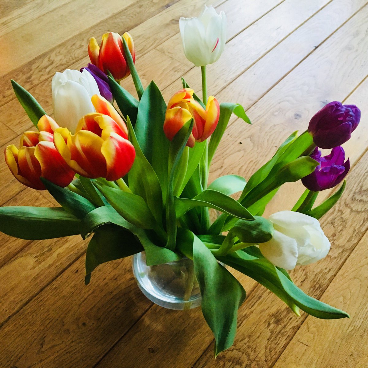 Straks de laatste opnames voor #tulpendate. Rond #valentijnsdag komen de filmpjes online. tulpendate.nl