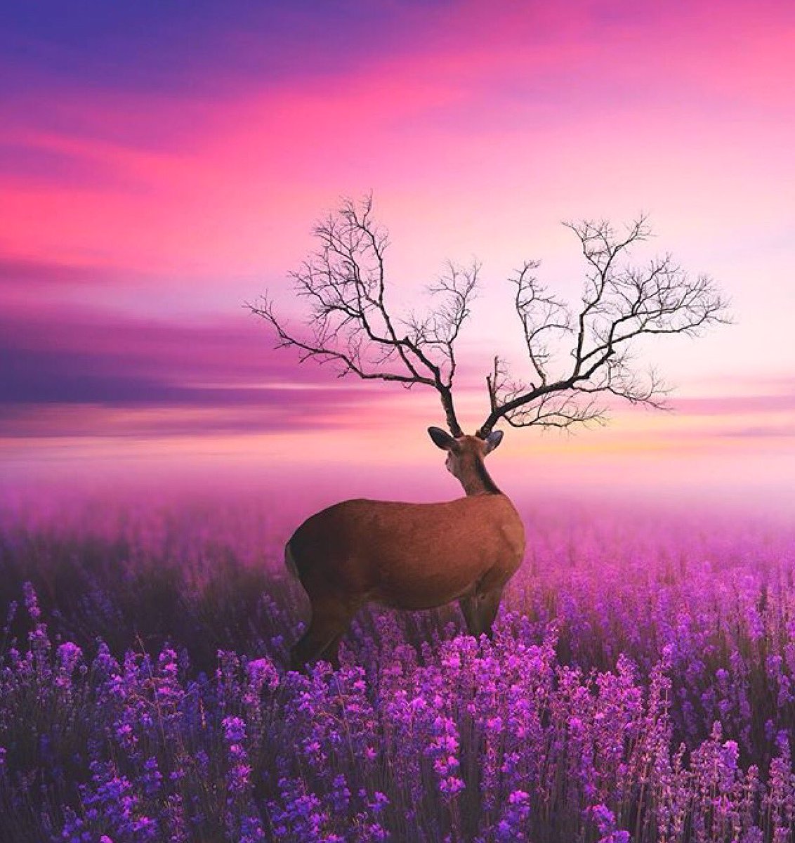 Love is the great miracle cure.
Loving ourselves works miracles in our lives.

Louise Hay