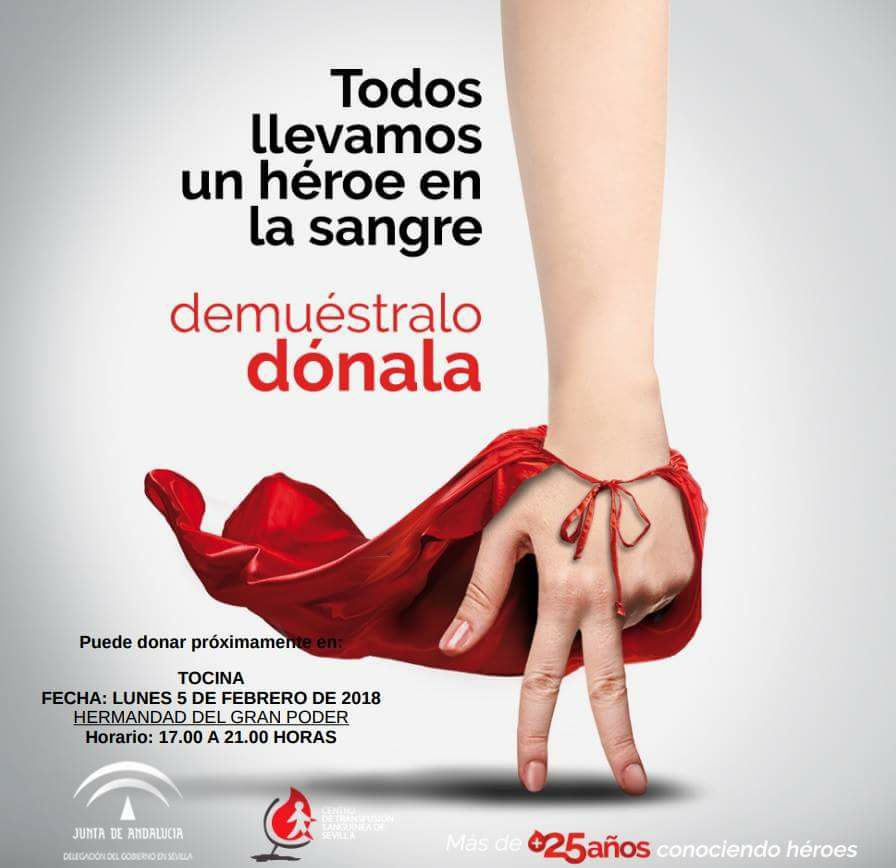 ❤ Hoy, Donación de sangre en #Tocina
#TDSActualidad #TDSAgenda
⏰ De 17 a 21 horas en la Casa Hdad. del Gran Poder (Calle Arache)
🔄 Compartir.