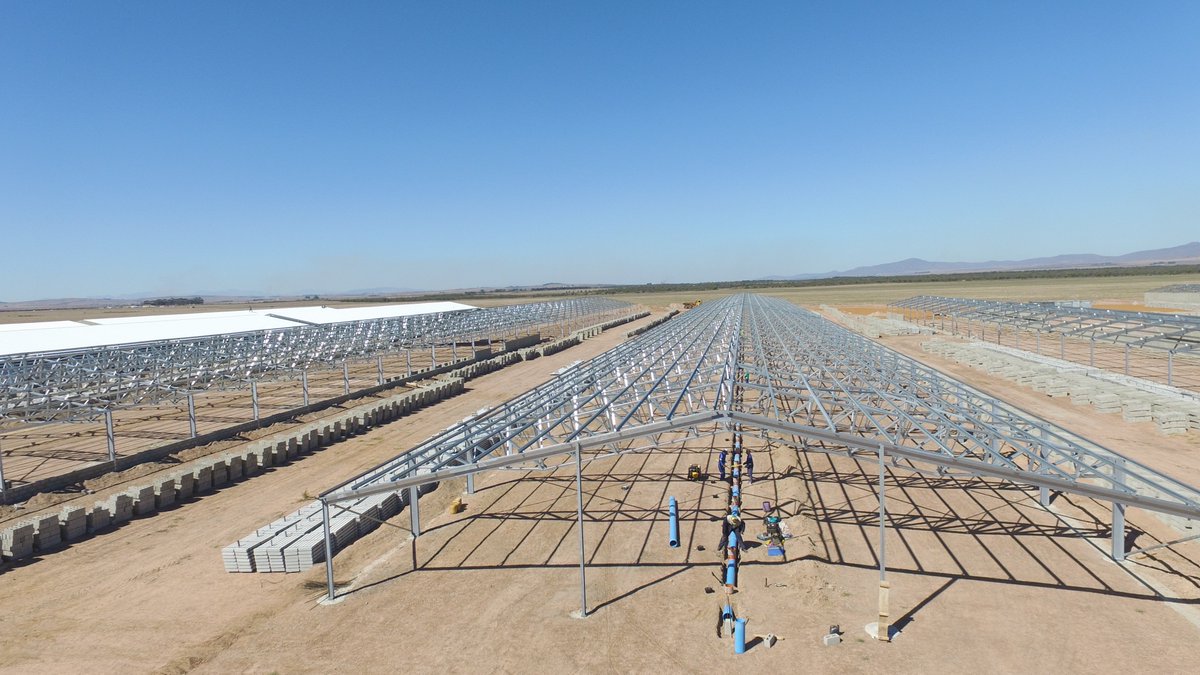 LEMCOGroup's tweet photo. Our client, No 2 Piggeries utilized our Hybrid Steel Structures for their for their high-tech Chalala piggery between Malmesbury and Darling in the Western Cape 129000m² #LEMCO #webuiltthis #Steel #Structures #Construction #WesternCape https://t.co/mcMiYPkUFB