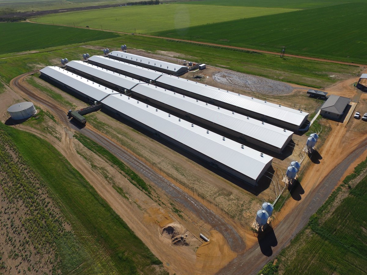 LEMCOGroup's tweet photo. Our client, No 2 Piggeries utilized our Hybrid Steel Structures for their for their high-tech Chalala piggery between Malmesbury and Darling in the Western Cape 129000m² #LEMCO #webuiltthis #Steel #Structures #Construction #WesternCape https://t.co/mcMiYPkUFB