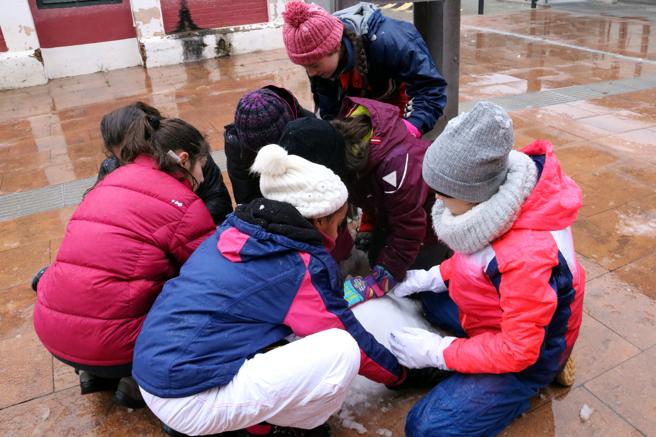 La nieve obliga a cerrar colegios y a suspender varias rutas de transporte 
lavanguardia.com/local/pirineos…