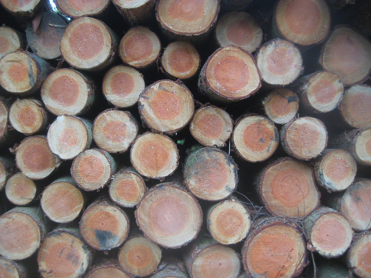 Make sure you register now for the UK's most informative #bioenergy conference: Woodheat 2018 #whac2018 The two day conference is on 13-14 March 2018. £220 for members. £335 for non-members. Find out more here: woodheatassociation.org.uk/wha-conference… …