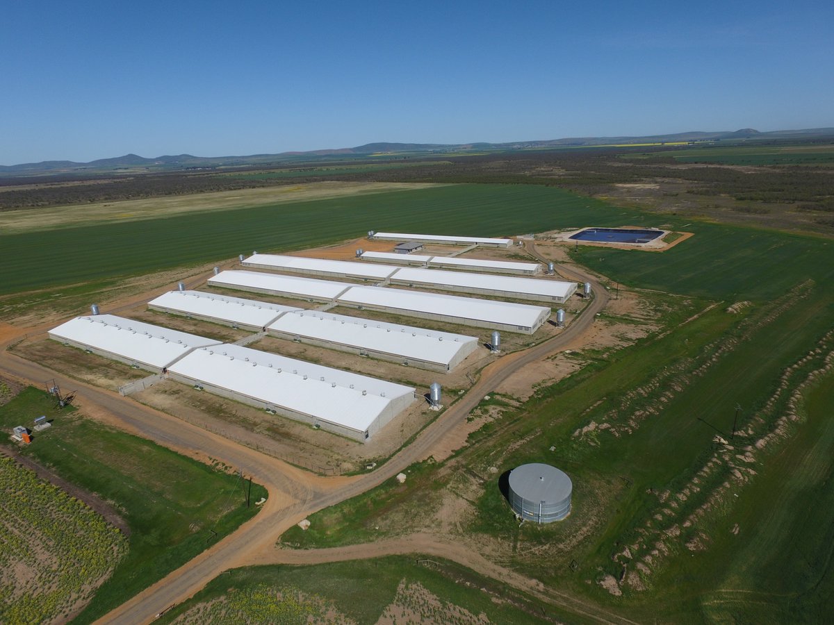 LEMCOGroup's tweet photo. Our client, No 2 Piggeries utilized our Hybrid Steel Structures for their for their high-tech Chalala piggery between Malmesbury and Darling in the Western Cape 129000m² #LEMCO #webuiltthis #Steel #Structures #Construction #WesternCape https://t.co/mcMiYPkUFB