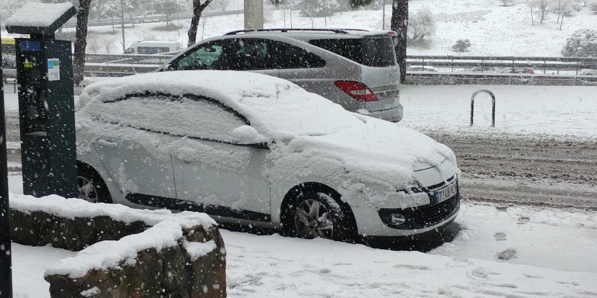 ॐ Fando Sarel ॐ tweet media