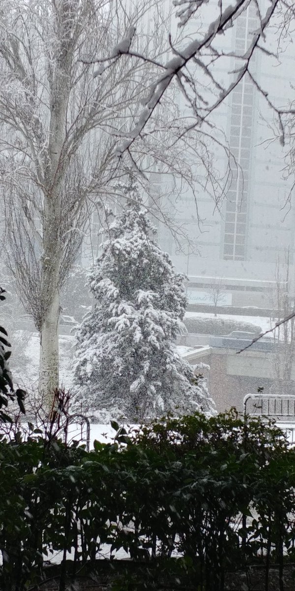 ॐ Fando Sarel ॐ tweet media