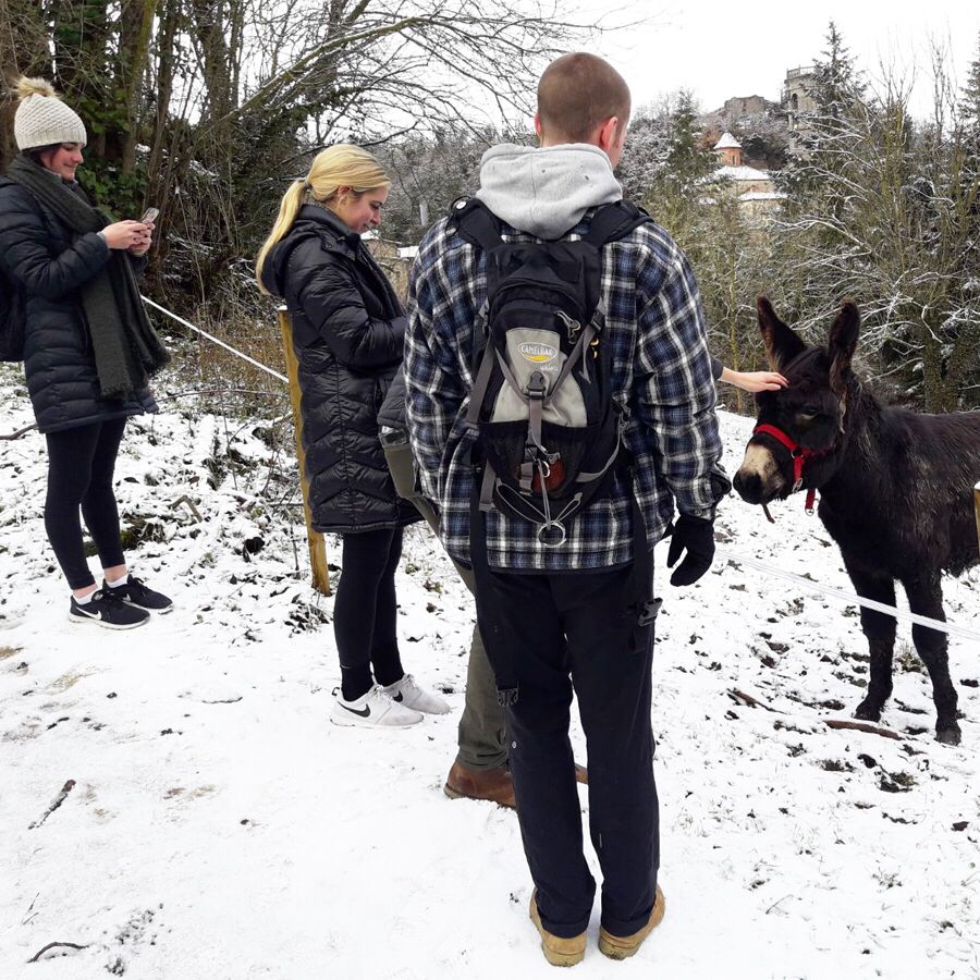 ALBAStudyAbroad's tweet photo. Last Friday, our students visited the medieval stone-built village Rupit, just 60 miles away from Barcelona! Snow, magnificent mountains and views, donkeys and way more!
#studyabroad  #coolbarcelona #oncampus ⠀
#visitspain #loves_barcelona #living_europe #ok_myworld  #rupit https://t.co/tCzci9gQke