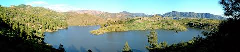 vegetos123's tweet photo. Physiological Barriers for Adventitious Species Invasion in #Oligotroph #Ecosystems of the Middle Ob Area..Read more https://t.co/RCPg9m1PP1 https://t.co/R2sUGN8Uw6