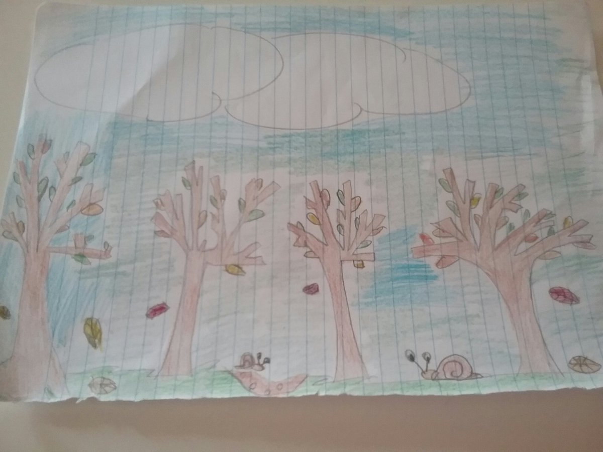 VSansperatorc's tweet photo. #TwLumaca/10 Lentamente, molto lentamente un rifugio @Ribelletw vuol trovare per deporre le uova e al sicuro lasciare!!! https://t.co/mkoNkxrFuv