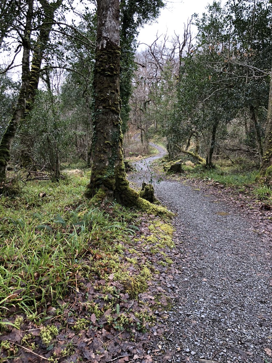 juliemcnamee's tweet photo. #Ard na Mona #LoughEske #WinterTraining @TheRace_ie 💚💛 https://t.co/8ww9ChIdE5