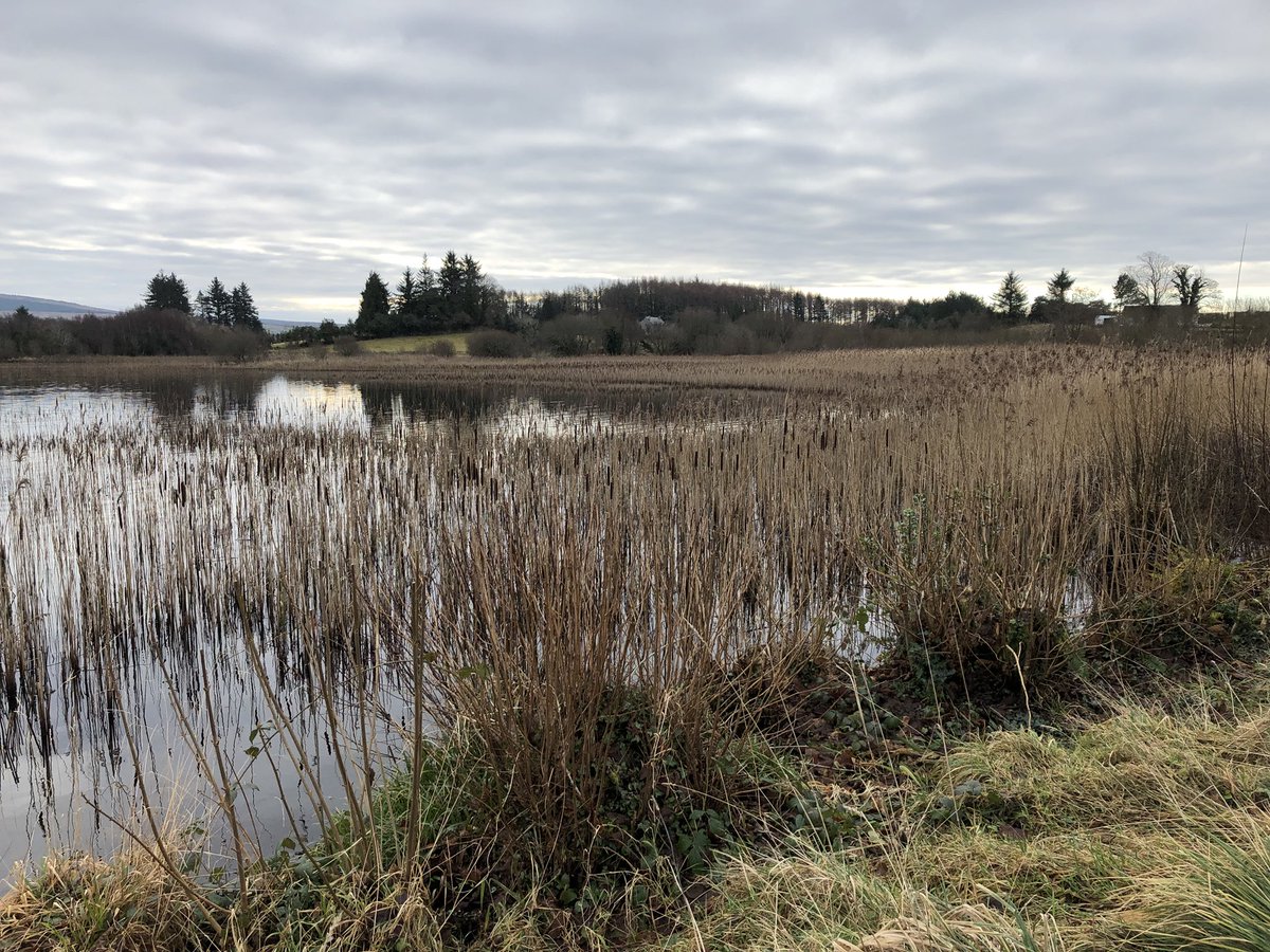 juliemcnamee's tweet photo. #Ard na Mona #LoughEske #WinterTraining @TheRace_ie 💚💛 https://t.co/8ww9ChIdE5