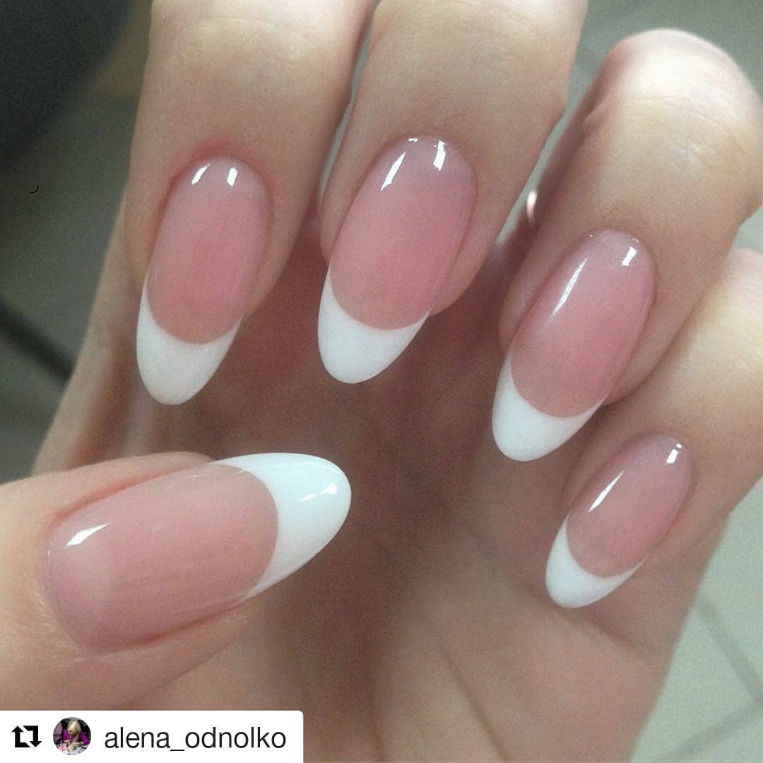 NailApex.ua tweet media