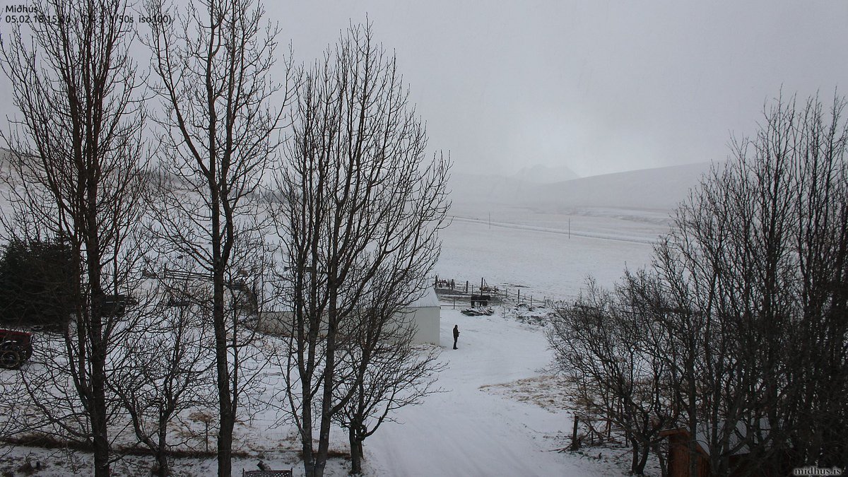 me_too's tweet photo. A human has been detected on #Midhus' webcam, #Iceland ^^
#rare #onlyhorses #onlysheep #onlyvolcanoes https://t.co/V3dcr216i6