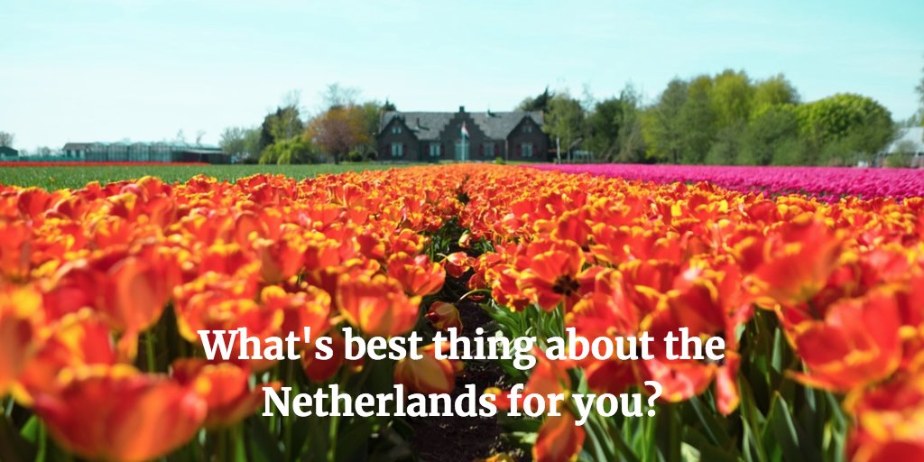 ClaydonReeves's tweet photo. We're in #Holland this week seeing old and new friends. There are so many great things about this country — what's your favourite #Dutch thing? #roadtrip #design #superyacht #designstudio #greatdesign https://t.co/QgVF87QkNM