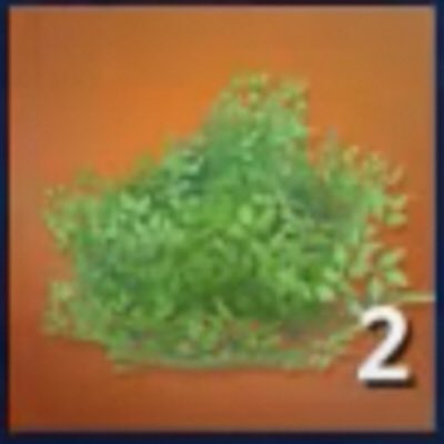 Kyle Hall tweet media