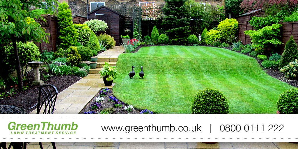 GreenthumbLive's tweet image. #GreenThumb Miss P just signed up from #LL31 9AR. Thanks for joining us. Want a #lawn quote? Visit greenthumb.co.uk
