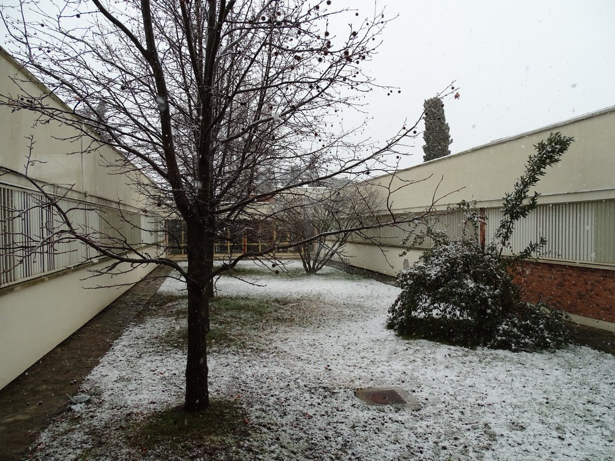 cucc_educacion's tweet photo. 📷 Hoy ha sido un lunes diferente en el #CUCC #AlcaládeHenares #Nieve ⛄❄ (2/3) https://t.co/mEVKyDzvKX