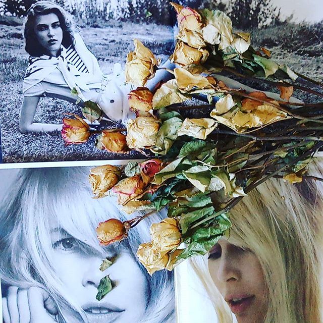 TINAKORTMANN1's tweet photo. 🖤 hey, friends 🖤 I hope you have had a glamorous start into the week 🖤 🖤 🖤 #minimalplanet #love #photooftheday minimalism #minimalistics #minimalismo #instaminim #keepitsimple #minimalhunter #negativespace #art #minimalista #minimalninja #simplic… https://t.co/64KXUKKsS2 https://t.co/29e13X2iUv