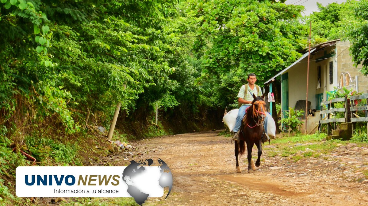 NewsUnivo's tweet photo. Desde muy temprano inicia el incansable #Trabajo de aquellos que luchan por una mejora cada dia, así somos los #Salvadoreños 
#Sesori 
#ElSalvador #Lunes #InicioDeSemana #InformacionATuAlcance https://t.co/hbm0rM1Kxc