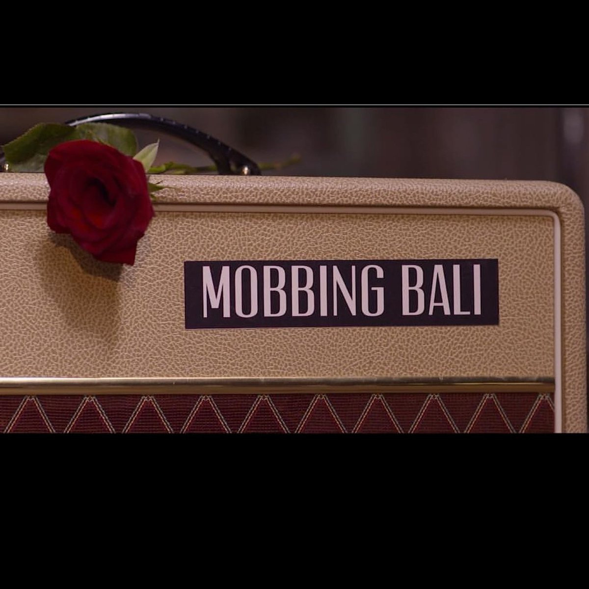 Mobbing Bali tweet media