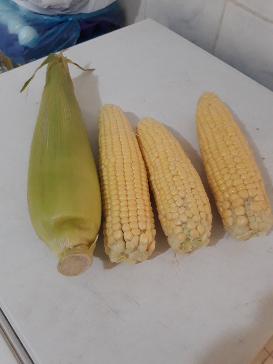 sry_007's tweet photo. Alhamdulillah aq bisa membli jagung wlw mhal ttp d'beli 4 biji 20 real https://t.co/urxxnZRzAU