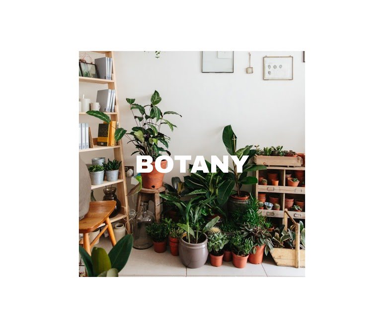 TSustainer's tweet photo. Plant shops are trending, that's why we made for you a selection of our favourite plant shops in London. Shopping inspiration. Plant inspiration. But most probably, travel inspiration. 
#wearethesustainer #plants #minimal #london #travel #Sustainability https://t.co/WouCuMq9iI https://t.co/HaCwHkhZxw