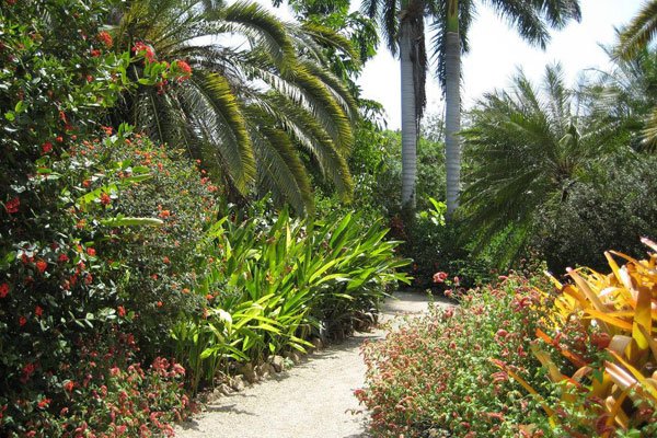 robertscottmk's tweet photo. Have you Ever Seen the beauty of nature at Queen Elizabeth II Botanic Park on Grand Cayman?
Read more: https://t.co/8rutT79Nvu #grandcaymantour #GrandCaymansightseeingtour https://t.co/OexSDtrp8O