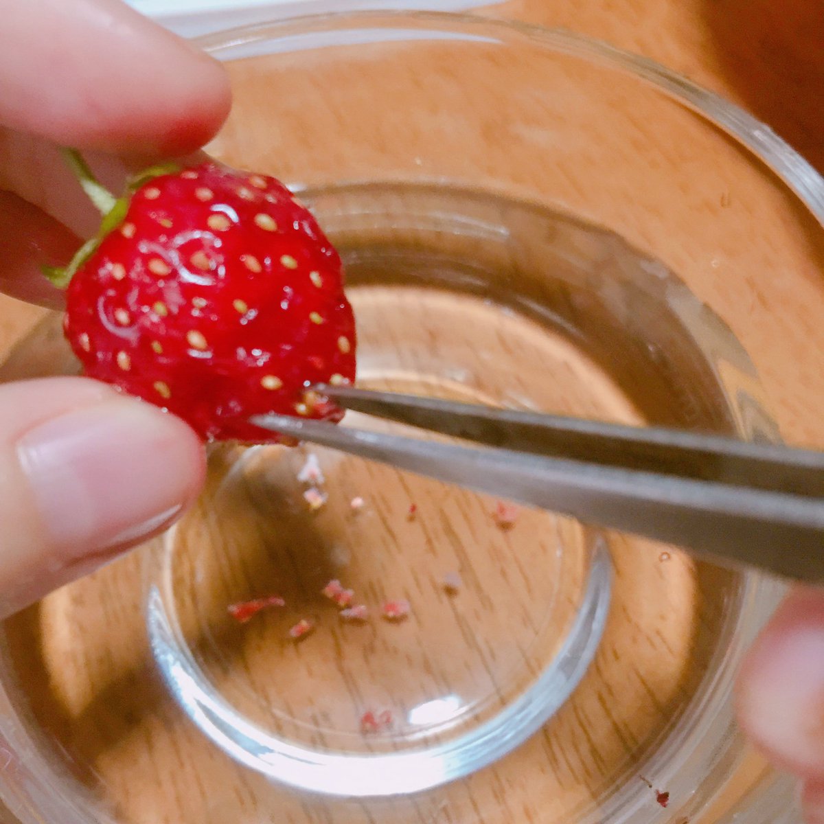 mydayon.vibe💡🥣 tweet media