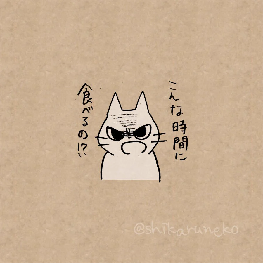 夜に食べたくなるお菓子を叱ってくれる猫が可愛すぎるのでごらんくださいw