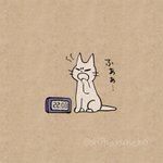 夜に食べたくなるお菓子を叱ってくれる猫が可愛すぎるのでごらんくださいw