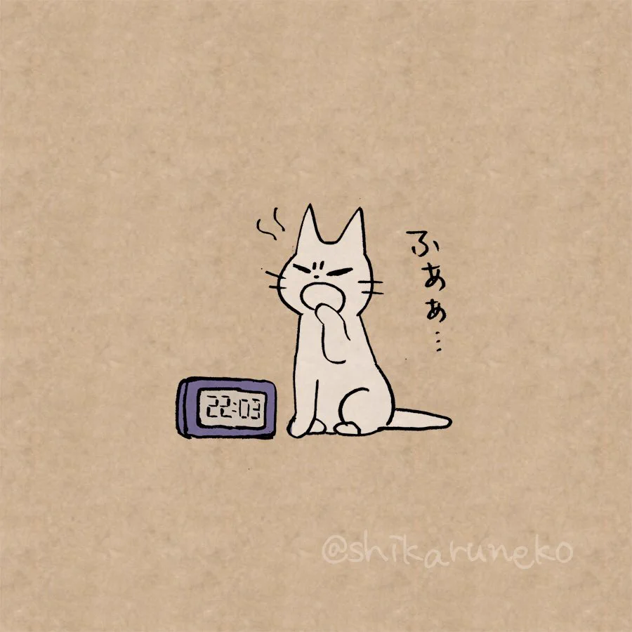 夜に食べたくなるお菓子を叱ってくれる猫が可愛すぎるのでごらんくださいw