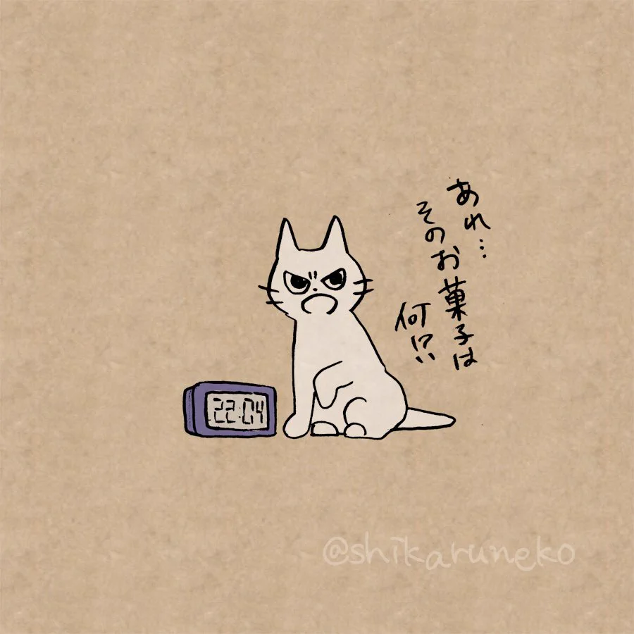 夜に食べたくなるお菓子を叱ってくれる猫が可愛すぎるのでごらんくださいw