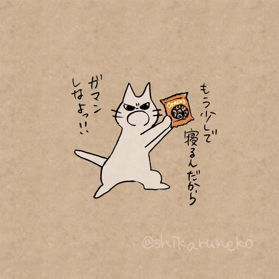 夜に食べたくなるお菓子を叱ってくれる猫が可愛すぎるのでごらんくださいw